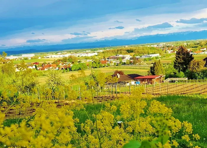 Apartman Casa Muro *